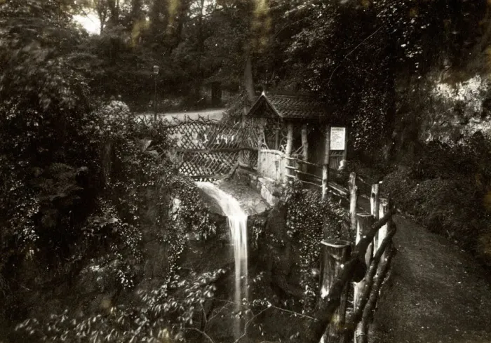 Framed Print : Shanklin Chine, Isle of Wight Framed Print : Shanklin Chine, Isle of Wight