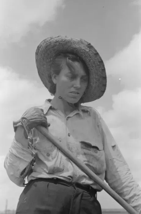 Framed Print : Sharecropper woman worker, Southeast Missouri Farms Framed Print : Sharecropper woman worker, Southeast Missouri Farms