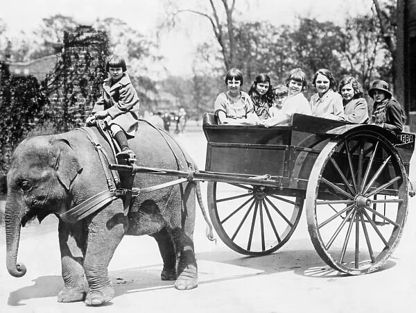 Sheba the elephant pulling children in a cart at Detroit Zoo
