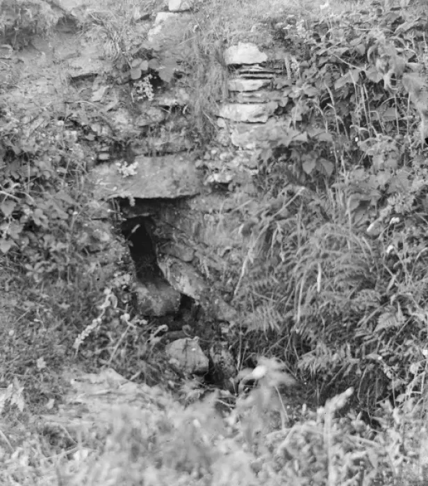 Framed Print : Sheep creep near St Davids, Pembrokeshire, South Wales Framed Print : Sheep creep near St Davids, Pembrokeshire, South Wales