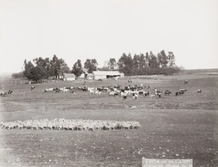 Framed Print : Sheep farm, Argentina Framed Print : Sheep farm, Argentina