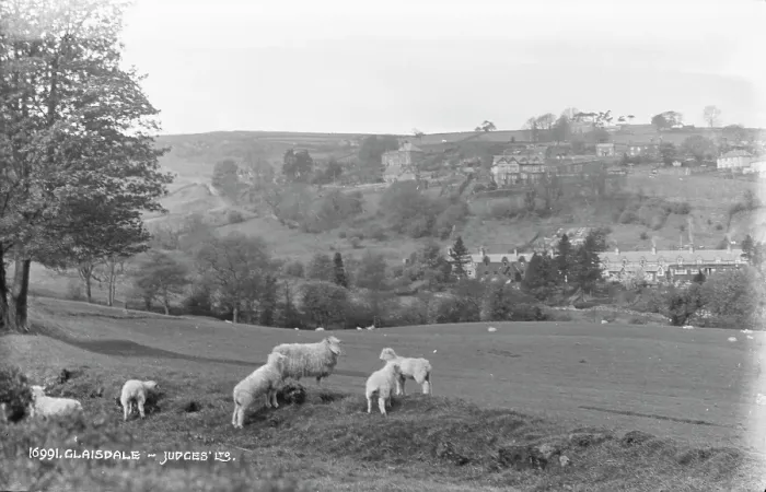 Framed Print : Sheep Grazing in Glaisdale Framed Print : Sheep Grazing in Glaisdale
