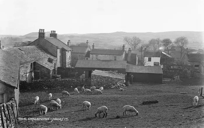 Framed Print : Sheep Grazing in Grassington Framed Print : Sheep Grazing in Grassington