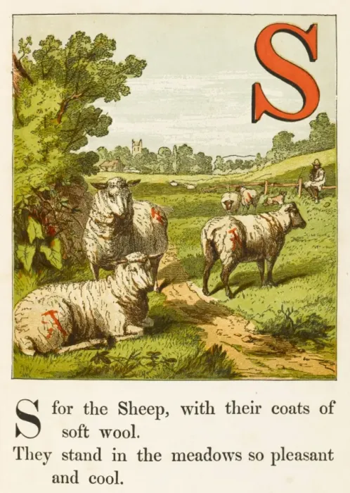 Framed Print : Sheep and Shepherd 1867 Framed Print : Sheep and Shepherd 1867