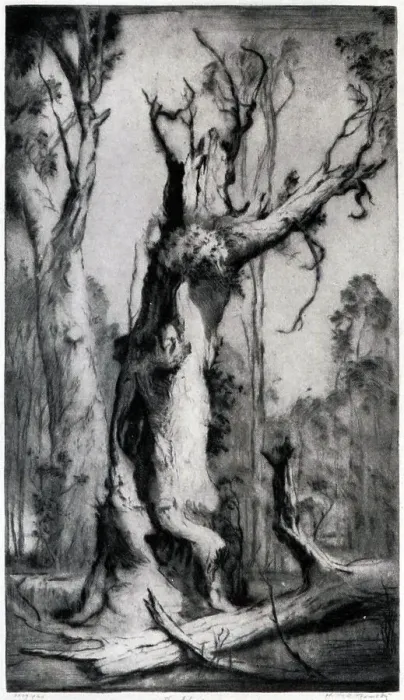 Framed Print : The Shell. An etching showing a thick, twisted, gnarled old tree in a woodland Framed Print : The Shell. An etching showing a thick, twisted, gnarled old tree in a woodland