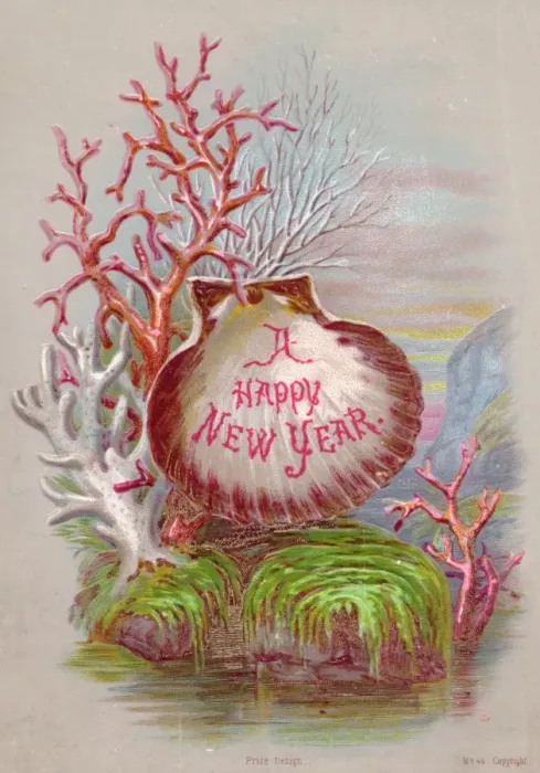 Framed Print : Shell and coral on a New Year card Framed Print : Shell and coral on a New Year card