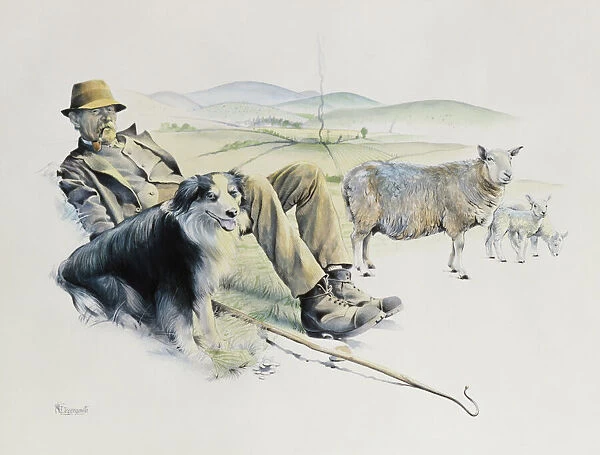 Shepherd at rest