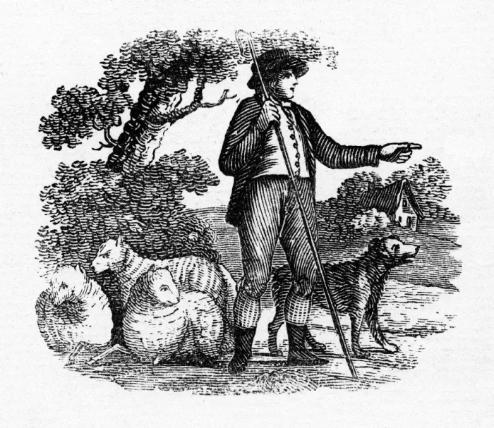 Framed Print : Shepherd & his sheep Framed Print : Shepherd & his sheep