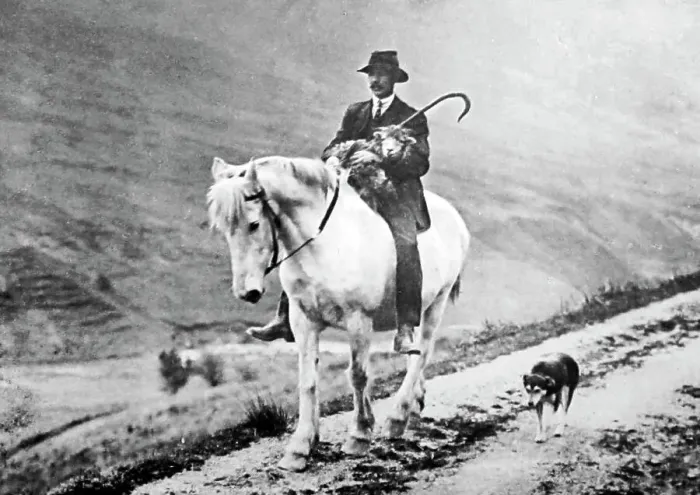 Framed Print : Shepherd with sheep, Lake District, Victorian period Framed Print : Shepherd with sheep, Lake District, Victorian period