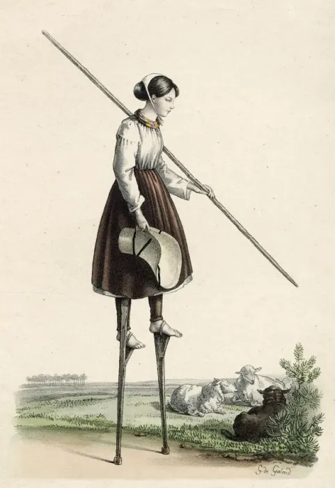Framed Print : Shepherdess of les Landes, southwest France, mounted on stilts Date: circa 1840 Framed Print : Shepherdess of les Landes, southwest France, mounted on stilts Date: circa 1840
