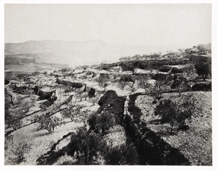 Framed Print : The Shepherds Field, Bethlehem, Palestine, modern West Bank Framed Print : The Shepherds Field, Bethlehem, Palestine, modern West Bank