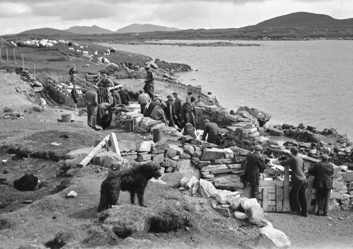 Framed Print : Shepherds at North Uist, Outer Hebrides, Scotland Framed Print : Shepherds at North Uist, Outer Hebrides, Scotland