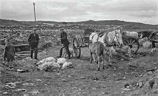 Shepherds at North Uist, Outer Hebrides, Scotland