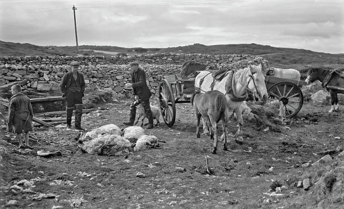 Framed Print : Shepherds at North Uist, Outer Hebrides, Scotland Framed Print : Shepherds at North Uist, Outer Hebrides, Scotland