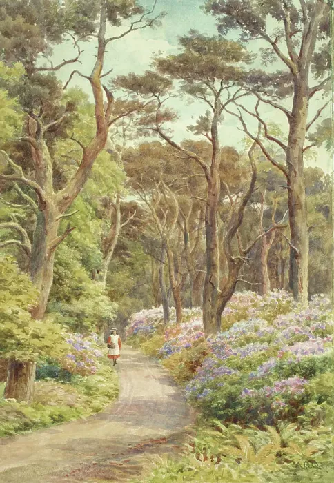 Framed Print : Sheringham Woods, Sheringham, Norfolk Framed Print : Sheringham Woods, Sheringham, Norfolk