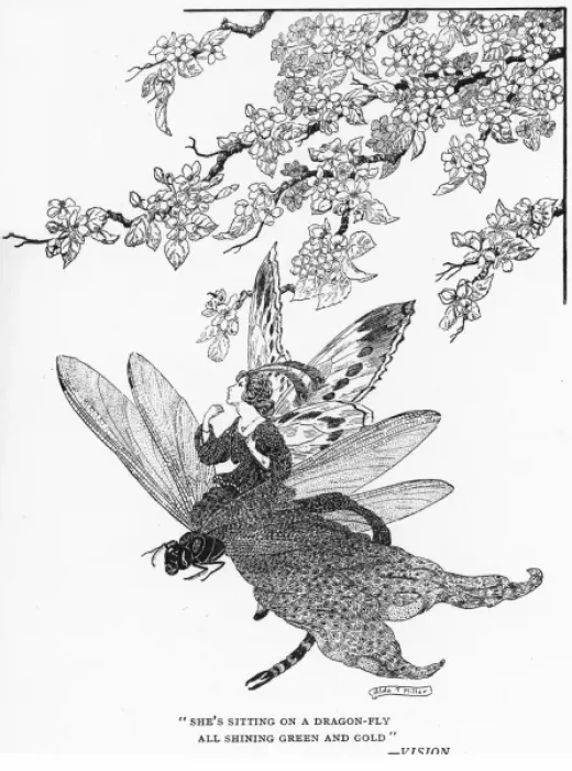 Framed Print : Shes sitting on a dragonfly Framed Print : Shes sitting on a dragonfly