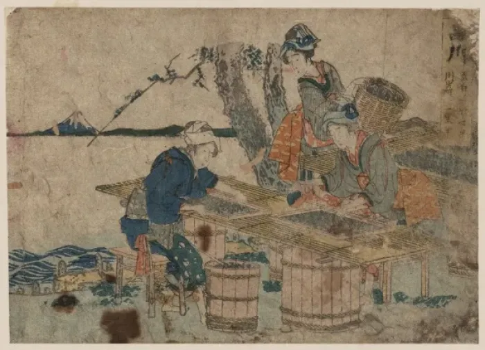 Framed Print : Shinagawa. Print shows three women sorting clams by size Framed Print : Shinagawa. Print shows three women sorting clams by size