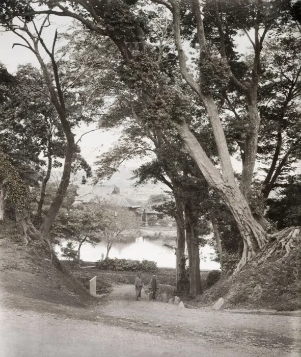 Framed Print : Shinobazu Pond, Ueno Park Tokyo. - Japan