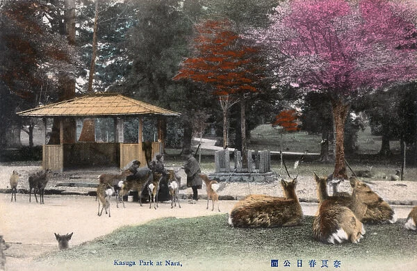 Shinto Kasuga Shrine at Nara, Japan - The Deer Park