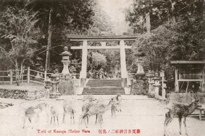 Framed Print : Shinto Kasuga Shrine at Nara, Japan - The Deer Park Framed Print : Shinto Kasuga Shrine at Nara, Japan - The Deer Park