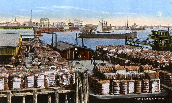 Shipping cotton, Norfolk Harbour, Norfolk, Virginia, USA