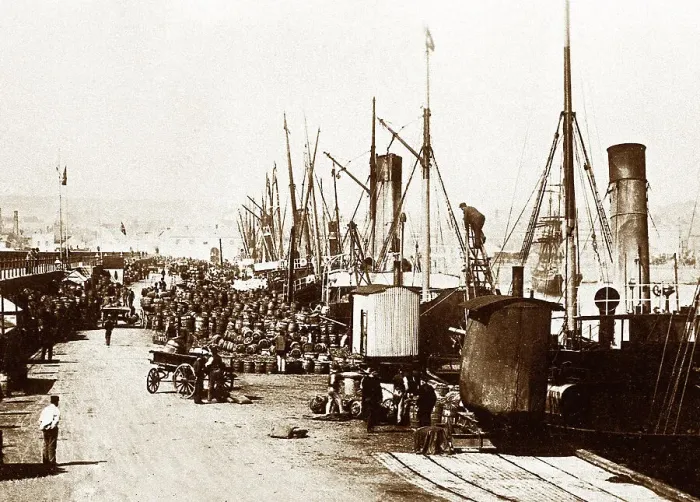 Framed Print : Shipping potatoes from Jersey, early 1900s Framed Print : Shipping potatoes from Jersey, early 1900s