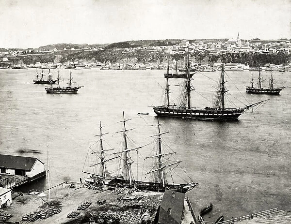 Ships at anchor, Montreal Canada