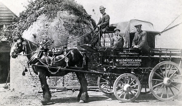 Shire Horse pulling Cartage Contractors Wagon