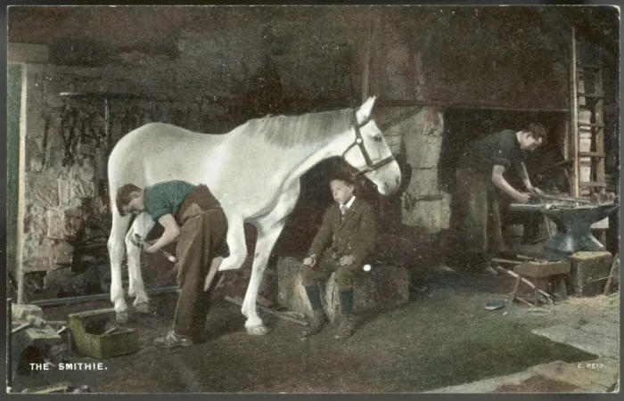 Framed Print : Shoeing a Horse Framed Print : Shoeing a Horse
