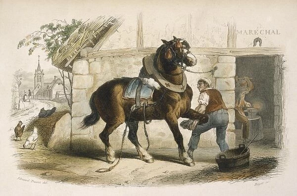 Shoeing a Horse. A farrier shoes a work-horse outside his smithy