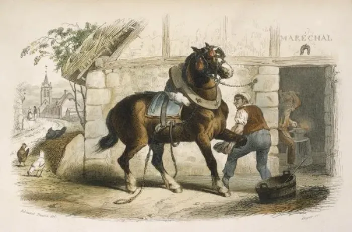 Framed Print : Shoeing a Horse Framed Print : Shoeing a Horse