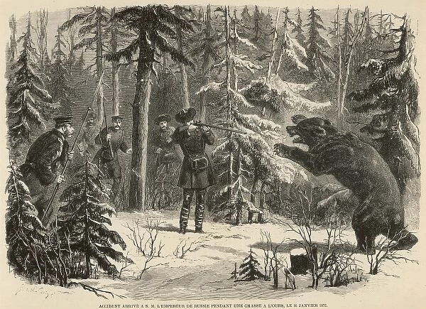 Shooting a bear