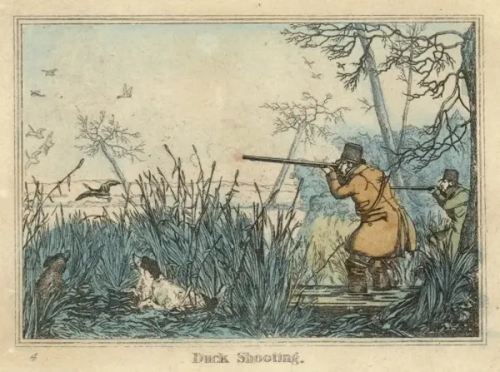 Framed Print : Shooting Duck (Alken) Framed Print : Shooting Duck (Alken)