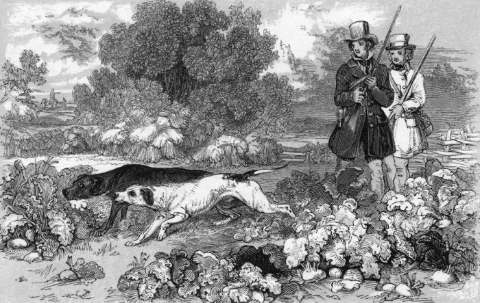 Framed Print : Shooting Partridge (Harv Framed Print : Shooting Partridge (Harv