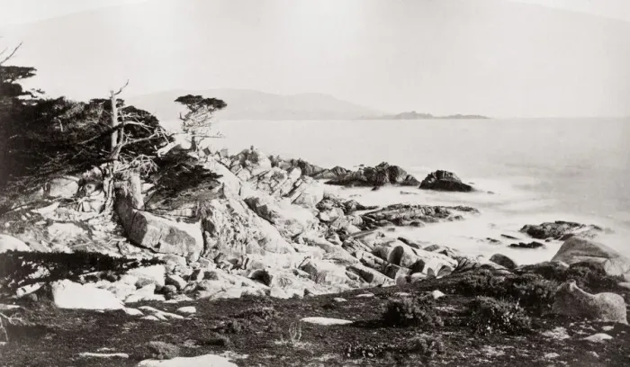 Framed Print : Shoreline near San Francisco, California, USA, c. 1890 Framed Print : Shoreline near San Francisco, California, USA, c. 1890