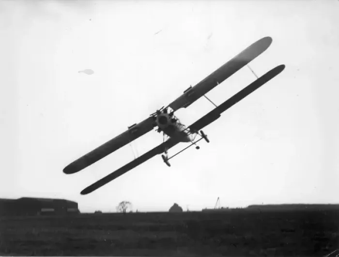 Framed Print : Short Springbok I Framed Print : Short Springbok I