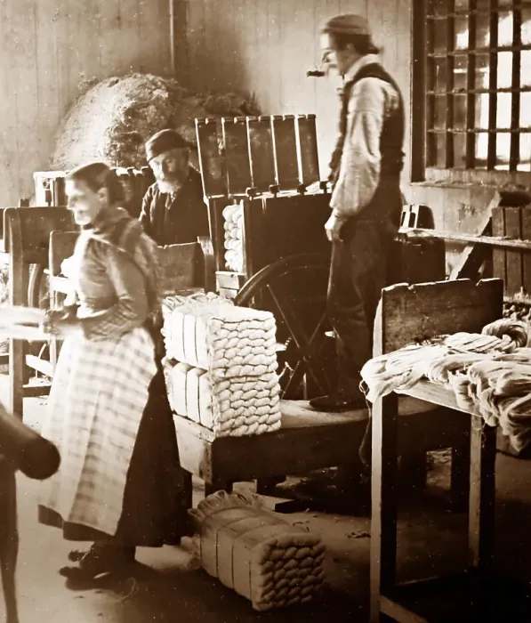 Framed Print : Short stool bundling, linen production, Victorian period Framed Print : Short stool bundling, linen production, Victorian period