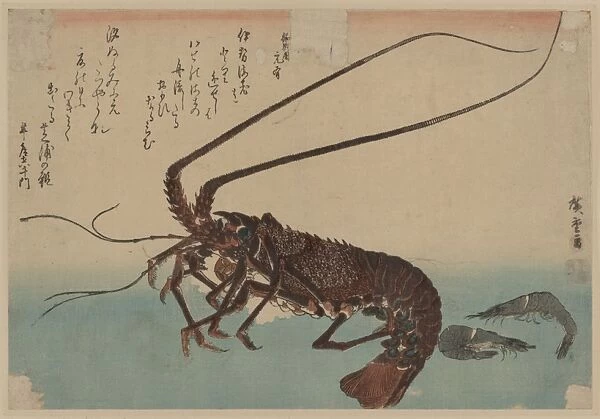 Shrimp and lobster. Date between 1835 and 1844