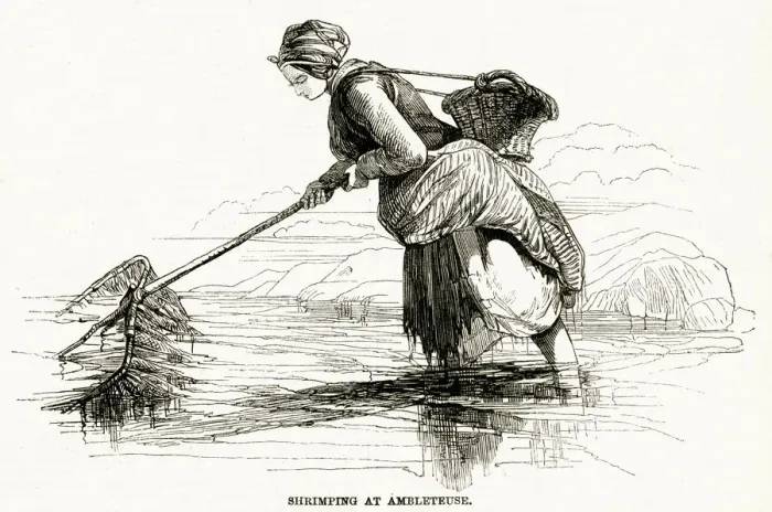 Framed Print : Shrimping at Ambleteuse 1858 Framed Print : Shrimping at Ambleteuse 1858
