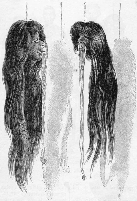 Framed Print : SHRUNKEN HEADS Framed Print : SHRUNKEN HEADS