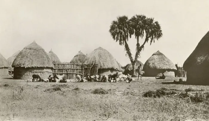 Framed Print : Shullucks Village of the Upper Nile, Sudan Framed Print : Shullucks Village of the Upper Nile, Sudan