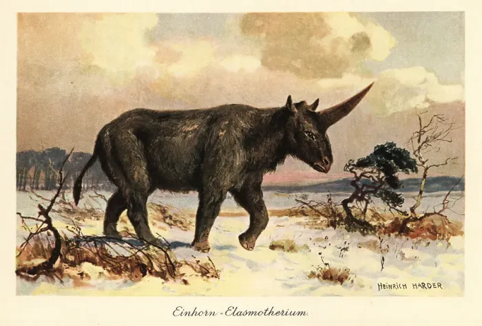 Framed Print : Siberian unicorn, Elasmotherium sibiricum, on a snowy plain Framed Print : Siberian unicorn, Elasmotherium sibiricum, on a snowy plain