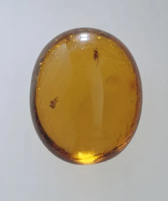 Framed Print : Sicilian amber