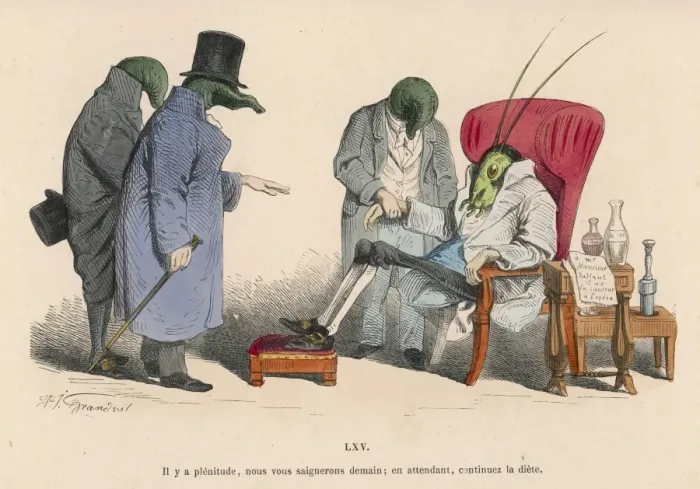 Framed Print : Sick Grasshopper Framed Print : Sick Grasshopper