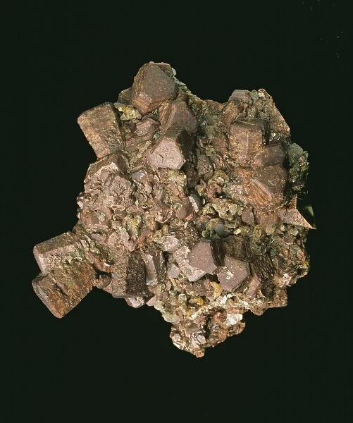 Siderite. Stout prisms of siderite, up to 1.7cm long