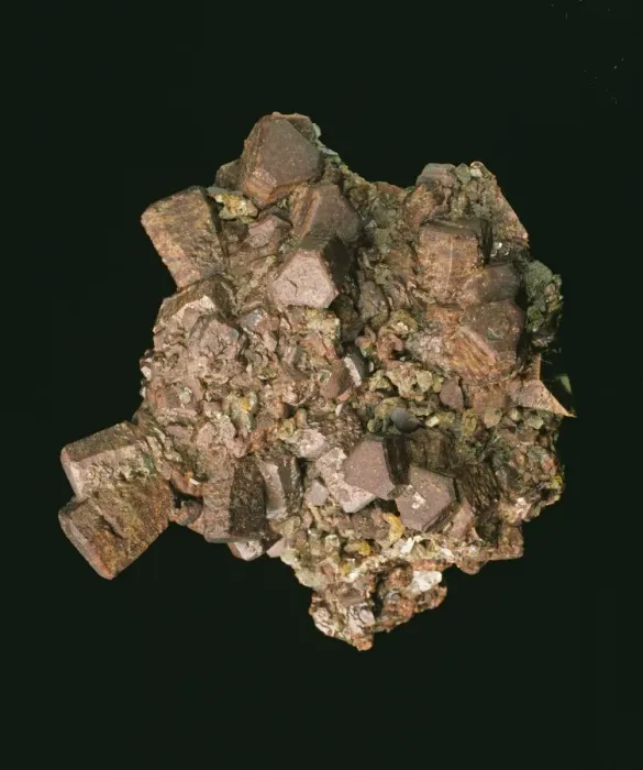 Framed Print : Siderite. Stout prisms of siderite, up to 1.7cm long Framed Print : Siderite. Stout prisms of siderite, up to 1.7cm long