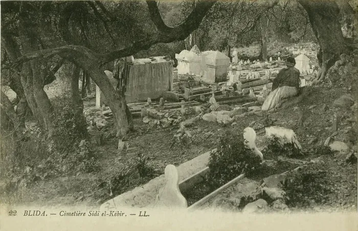 Framed Print : Sidi el-Kebir cemetery, Blida Framed Print : Sidi el-Kebir cemetery, Blida