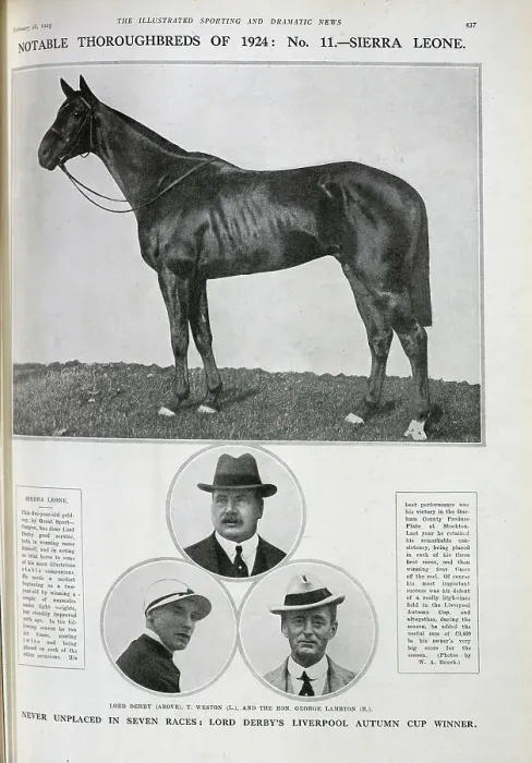 Framed Print : Sierra Leone, the Racehorse Framed Print : Sierra Leone, the Racehorse