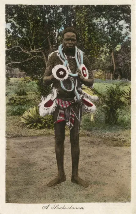 Framed Print : Sierra Leone - A Snake Charmer Framed Print : Sierra Leone - A Snake Charmer