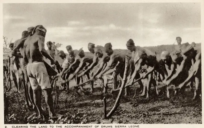 Framed Print : Sierra Leone, West Africa - Villagers preparing arable land Framed Print : Sierra Leone, West Africa - Villagers preparing arable land